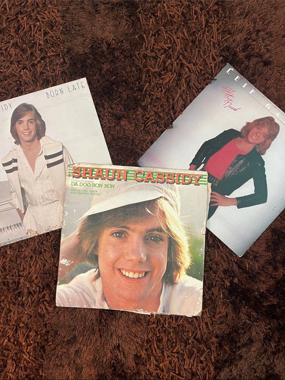 Shaun Cassidy 2 Vinyl Albums and Leif Garrett 1 Vinyl Album